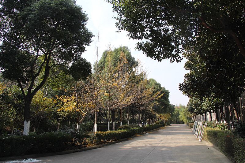 公司宗旨（zhǐ）：以人（rén）為本，誠信務（wù）實，創新進取。